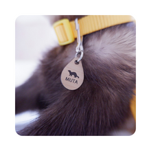 画像をギャラリービューアに読み込む, 迷子札 しずく