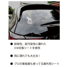 画像をギャラリービューアに読み込む, カーステッカー